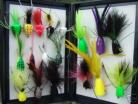 BASS BUG POPPER COLLECTION 
