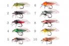 10 Cicada Collection
