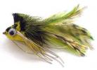 Diving Olive and Yellow Bass Bug